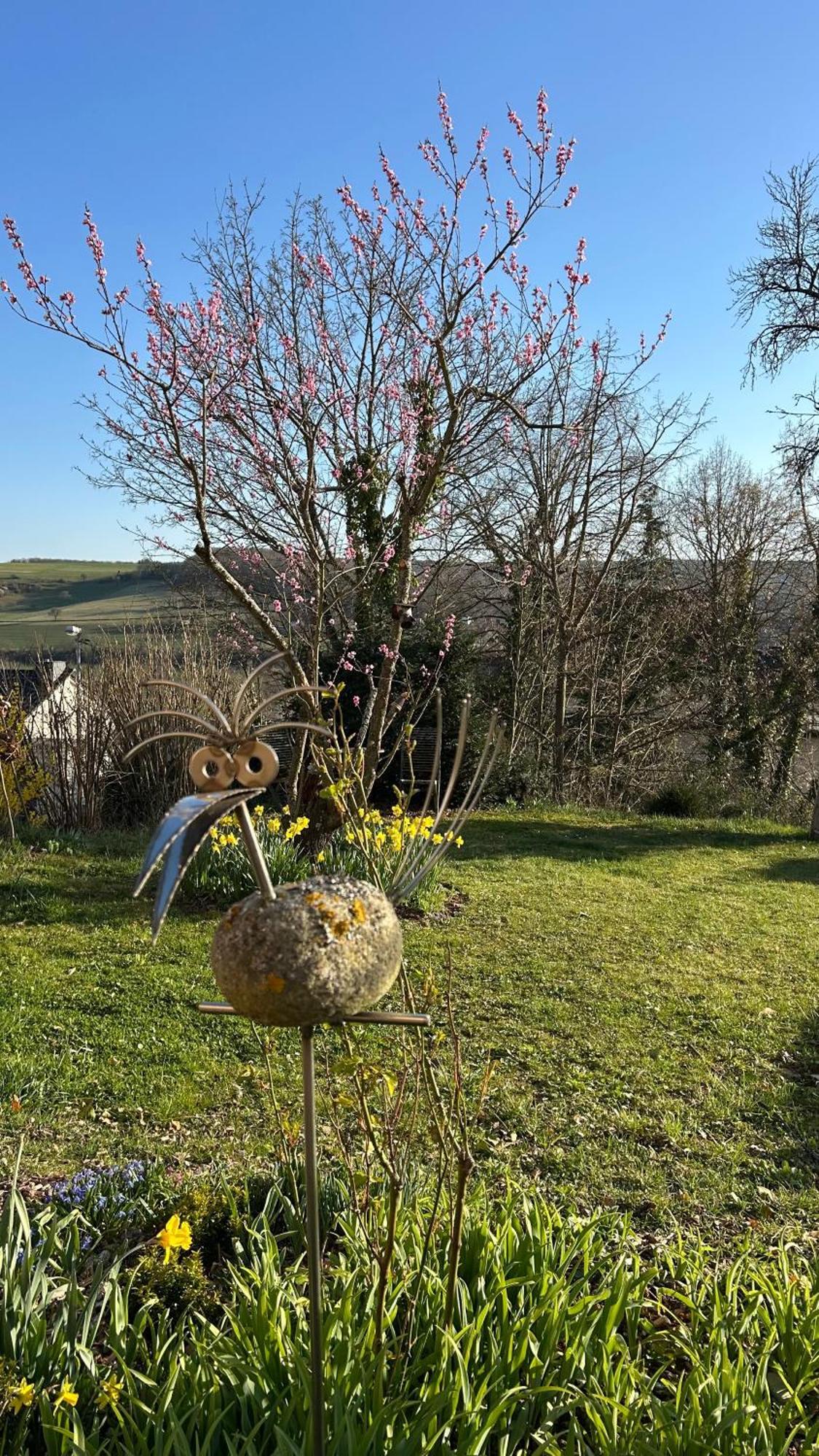 Ferienwohnung Panoramablick Bad Sobernheim Exterior foto